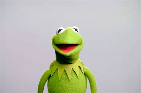 New Voice Of Kermit The Frog Debuts The Disney Blog