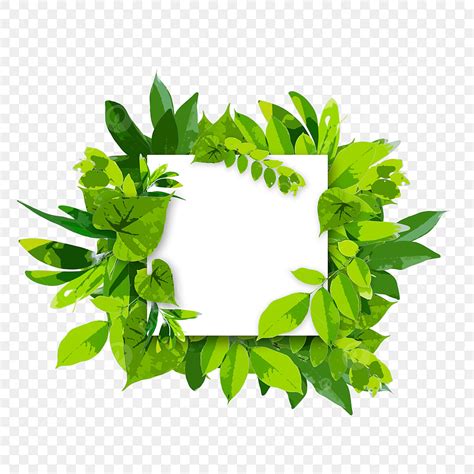 Tropical Leaf Frame Png Image Illustration Art Of Tropical Leaf Frame On Transparent Background