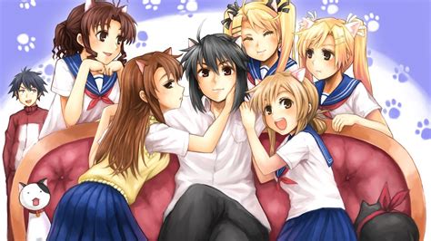 Harem anime is a widely popular genre and this list has about 40+ best harem anime that you can still enjoy in 2021. Top 10 Anime Harem King HD - YouTube