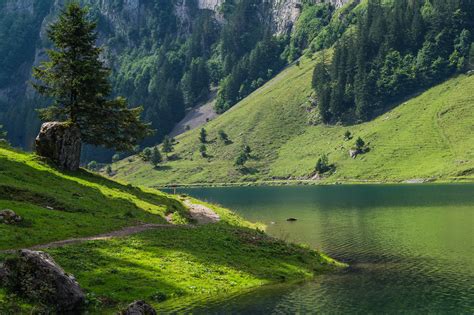 Seealpsee Lake At Appenzell Switzerland Patrick Hollenstein Flickr