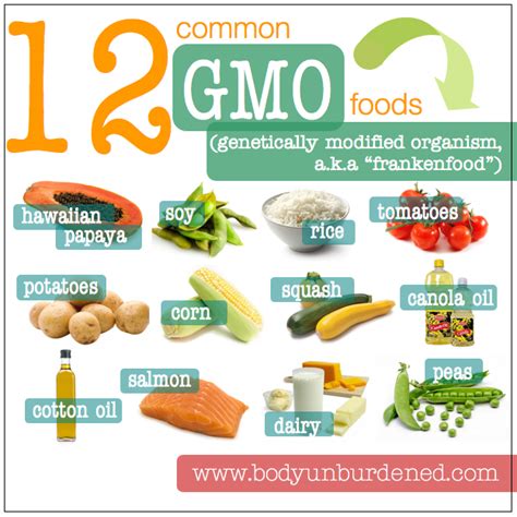 9 Most Common Genetically Modified Foods Gmos Body Unburdened