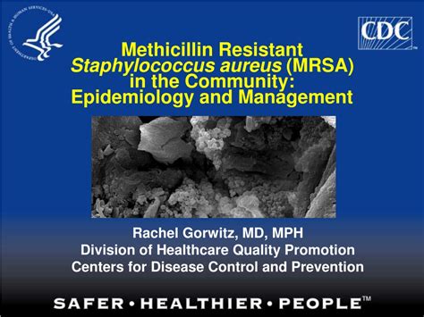 Ppt Methicillin Resistant Staphylococcus Aureus Mrsa In The