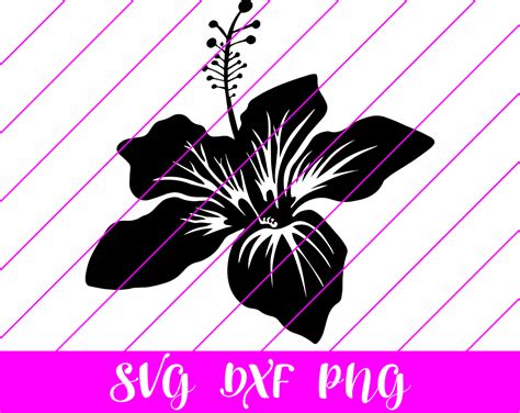 hawaiian flower SVG - Free hawaiian flower SVG Download - svg art
