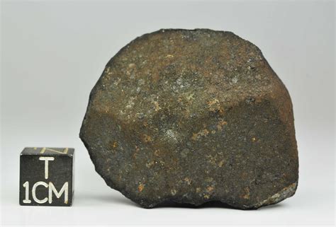 Buzzard Coulee Observed Fall From Canada 49g Piece Collecting Meteorites
