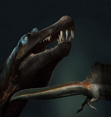 Species New To Science Paleontology 2020 Spinosaurus Aegyptiacus