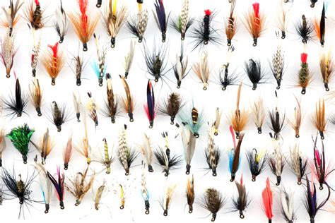 15 Best Trout Flies A Guide To Productive Trout Patterns Into Fly