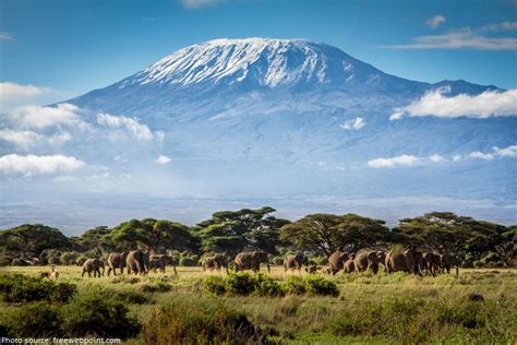 Interesting Facts About Mount Kilimanjaro Just Fun Facts