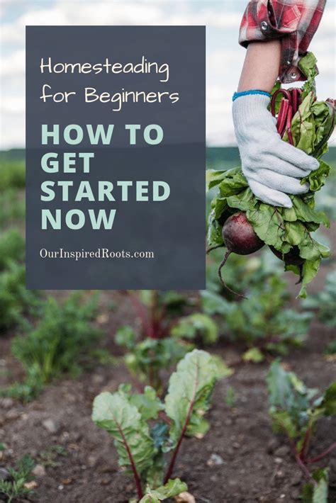 Homesteading For Beginners How To Get Started Now Organic Gardening