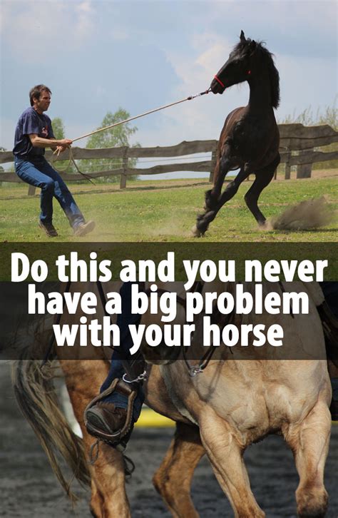 Do This And You Will Never Have Big Issues With Your Horse Radek Libal