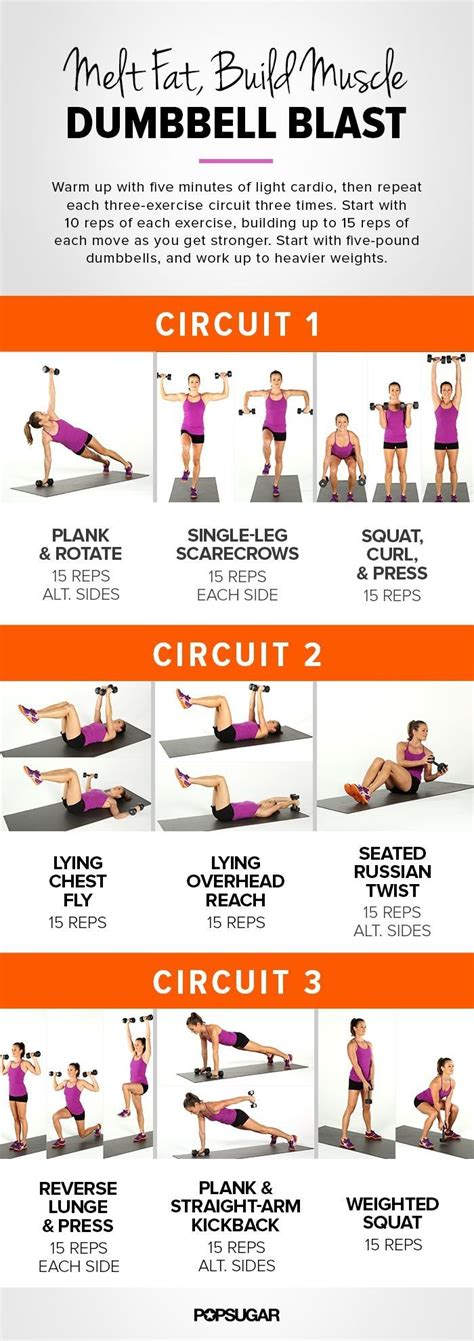 The muscular system is responsible for the movement of the human body. When to Expect Muscle Definition | Workout results ...