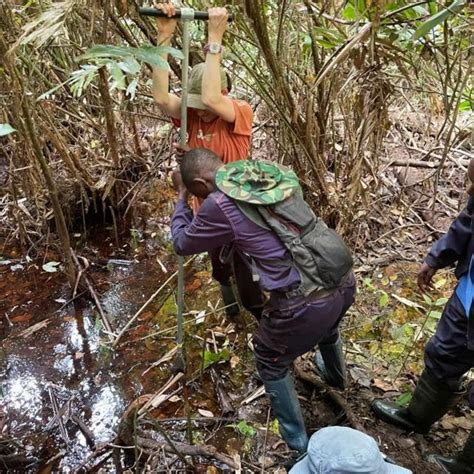 انسانیت کے پھیپھڑے اور گردے‘ سمجھا جانے والا کانگو بیسن جہاں تیل کی ممکنہ دریافت نئے خطرات کو