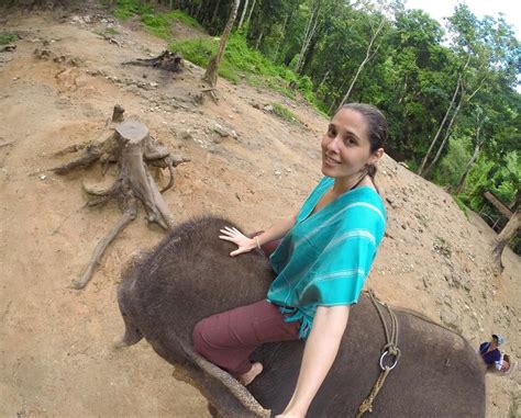 My Little Friend 🐘 Tbt Pataraelephantfarm Elephant Elefante Tailândia Thailand Chiangmai