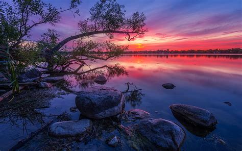 Hd Wallpaper Spring Flowers Mountain Lake Hills Red Cloud Sunset Hd