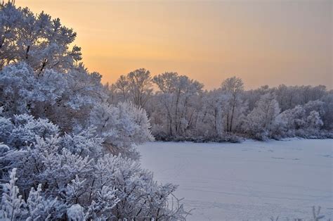 Free Image On Pixabay Snow Trees Sunset Winter