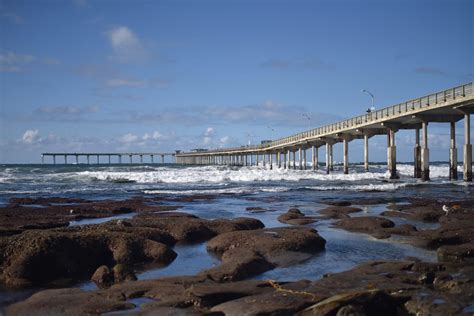 Best Tide Pools In San Diego Top 10 Beaches And Local Tips La Jolla Mom