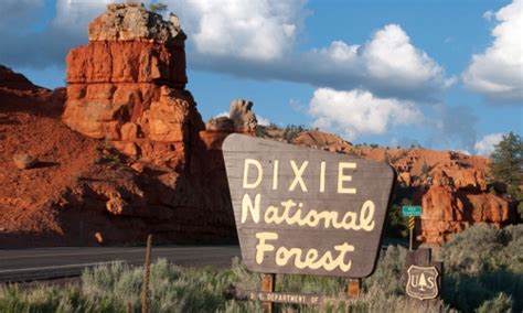 Dixie National Forest In Utah Alltrips