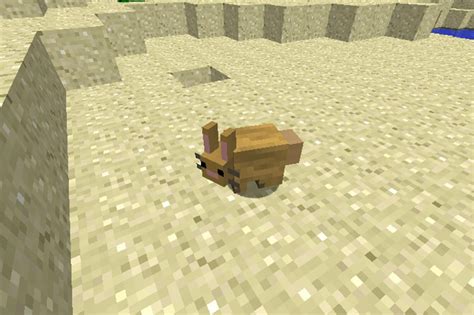 How To Tame A Bunny Rabbit In Minecraft Qm Games
