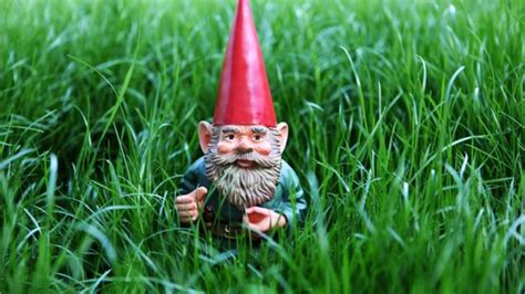 Gnome Shortage Who Is To Blame News Without Politics