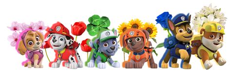 Paw Patrol All Character Png Kids 4