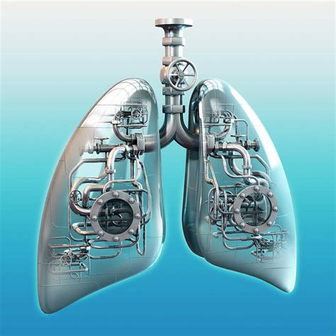 Metal Lungs Photograph By Jose Antonio Penasscience Photo Library