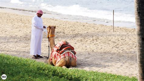 Rondreis Oman Dagen De Mooiste Route Reisreport