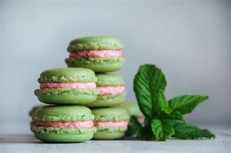 19 Delicious Macaron Recipes You Simply Can't Resist