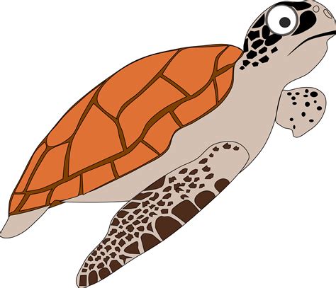 Cute Sea Turtle Clipart Clip Art Library Images And Photos Finder