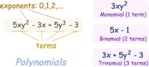 Examples Of Monomials Binomials And Trinomials