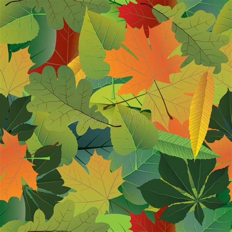 Seamless Pattern Vector Of Autumn Colorful Leaves Stock Vector