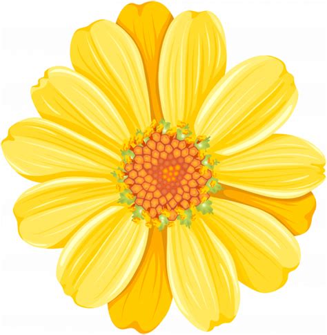 Daisy Png Clipart Background Png Play