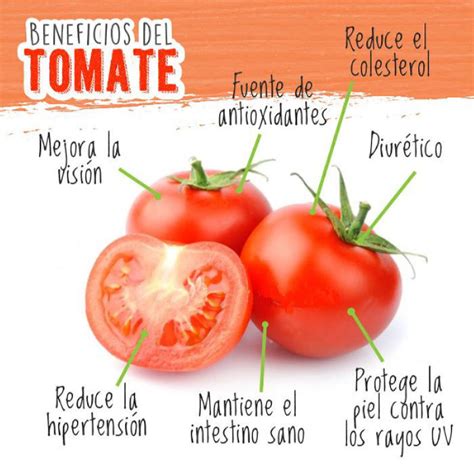 ᐈ Qué Es El Tomate Y Cuáles Son Sus Beneficios Hot Sex Picture