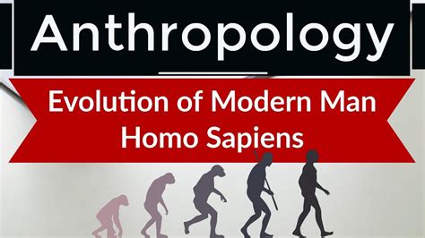 Anthropology Evolution Of Modern Man Homo Sapiens From Ancestors