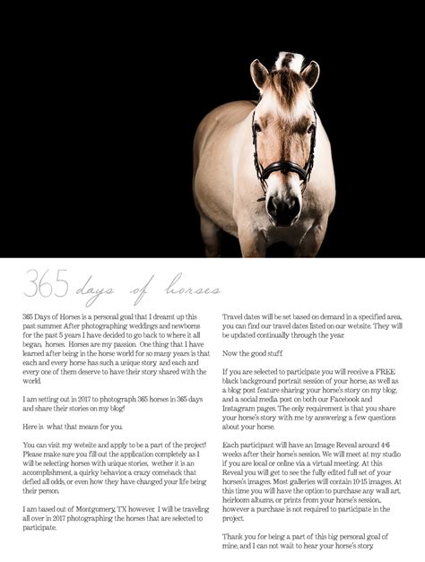 365 Days Of Horses Information Guide Texas Equine Photography