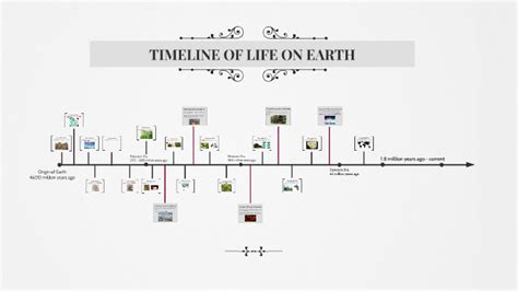 Timeline Of Life On Earth By Elif Sensurucu On Prezi