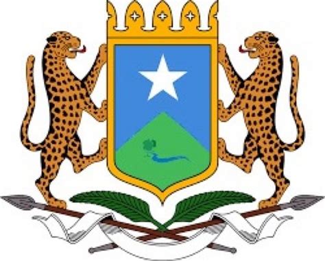 Finance plays a very vital role in progress of a company therefore it is very essential aspect. Admin and Finance Director - Jowhar - Latest Somali Jobs ...