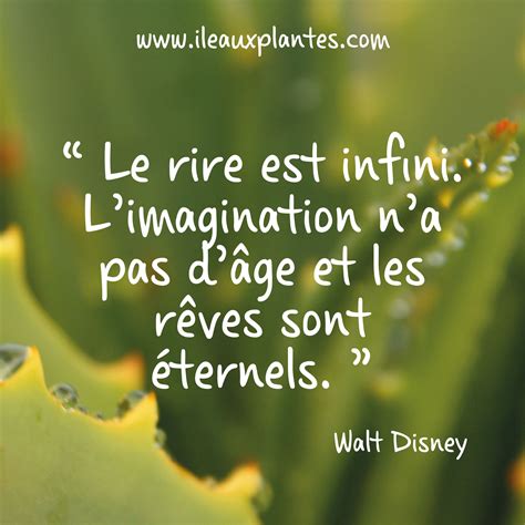 Une Magnifique Citation De Walt Dinsey Citation Pensée