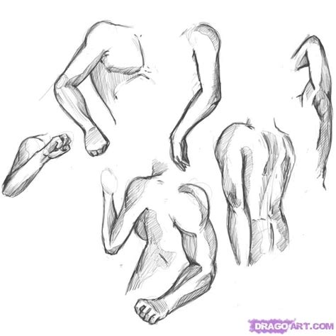 How To Draw Arms Step By Step Anatomy People Free Online Drawing