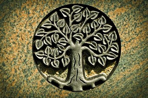 ᐈ TREE OF LIFE: Meaning, Symbol, Bible [2020]
