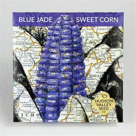 Blue Jade Dwarf Sweet Corn Hudson Valley Seed Company