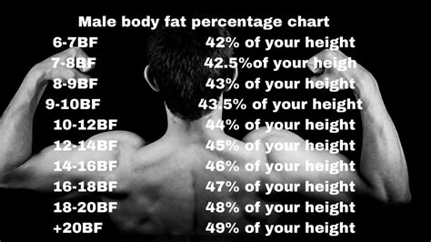 How To Calculate Body Fat Percentage At Home Both For Male And Female