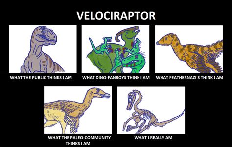 Velociraptors Image By Tomozaurus On Deviantart