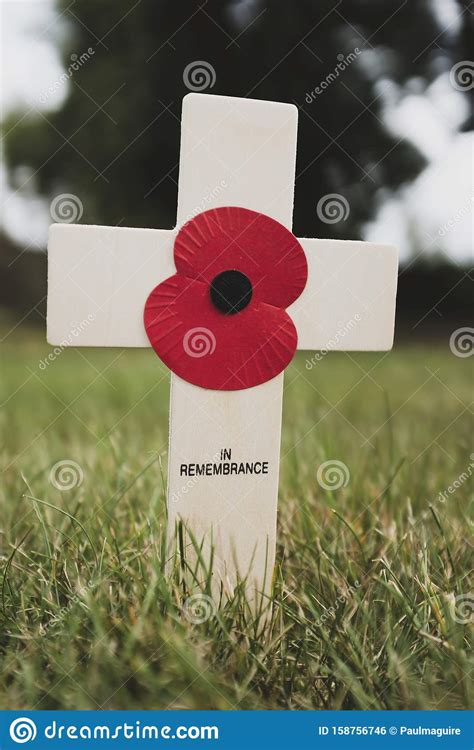 Remembrance Day Cross With Poppy Stock Photo Image Of English Graves