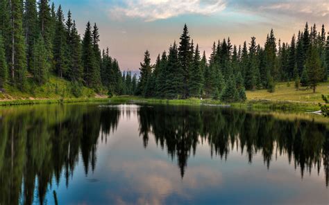 Download Wallpaper 2560x1600 Trees Forest Lake Reflection Nature