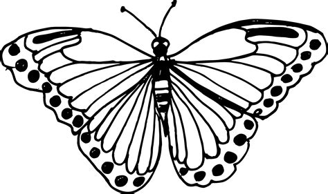 Monarch Butterfly Drawing Black And White At