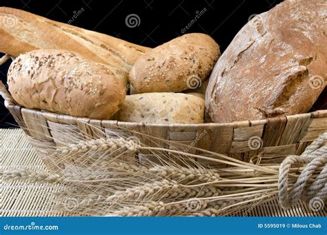 Bread And Grain Stock Image Image Of Bakery Edible Bagels 5595019