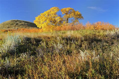 Canada Saskatchewan Grasslands Photograph By Jaynes Gallery Fine
