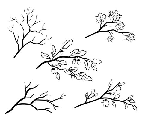 un conjunto de ramas de árboles con hojas de arce roble y manzana