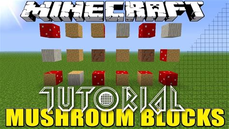 How To Get Mushroom Blocks Minecraft No Mods Youtube