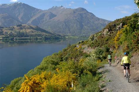 Queenstown Cycle Trail Omega Rental Cars Blog