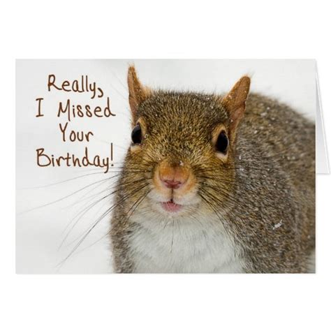Belated Birthday Wish Squirrel Card Zazzle